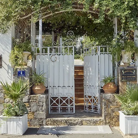 Ippocampi - Adults Only