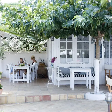 Ippocampi - Adults Only 2* Hersonissos (Crete)