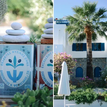 Ippocampi - Adults Only 2* Hersonissos (Crete)