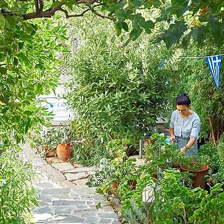 Ippocampi - Adults Only Hersonissos (Crete)