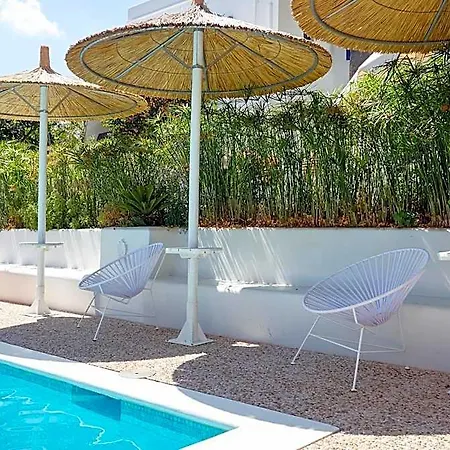 Ippocampi - Adults Only