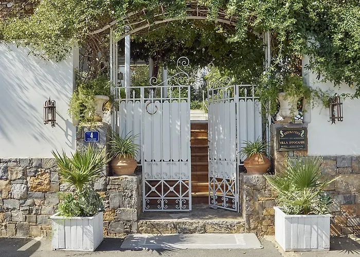 Ippocampi - Adults Only