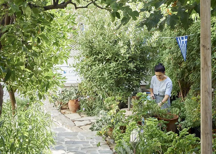 Ippocampi - Adults Only 2*