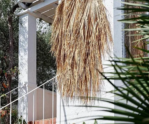 Ippocampi - Adults Only خيرسونِسوس