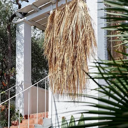 Ippocampi - Adults Only הרסוניסוס