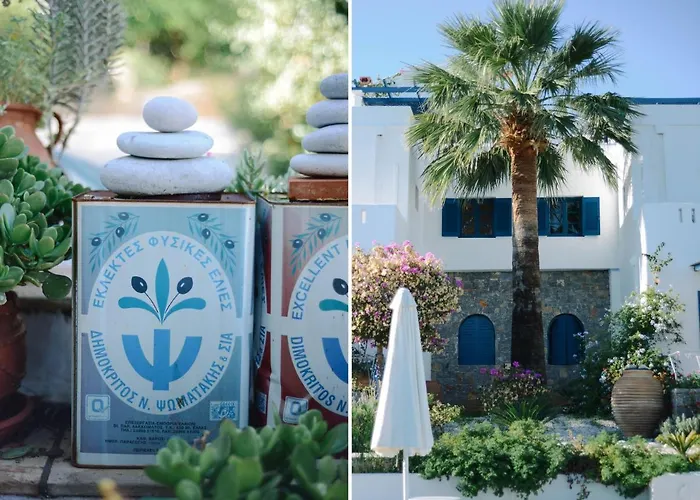 Ippocampi - Adults Only 2* 赫索尼索斯