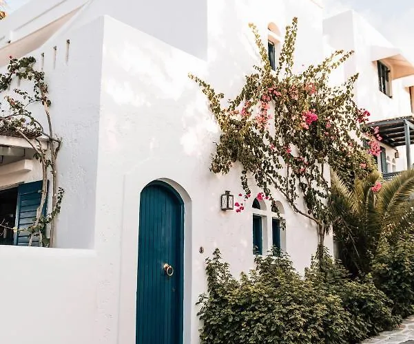 Ippocampi - Adults Only 2*